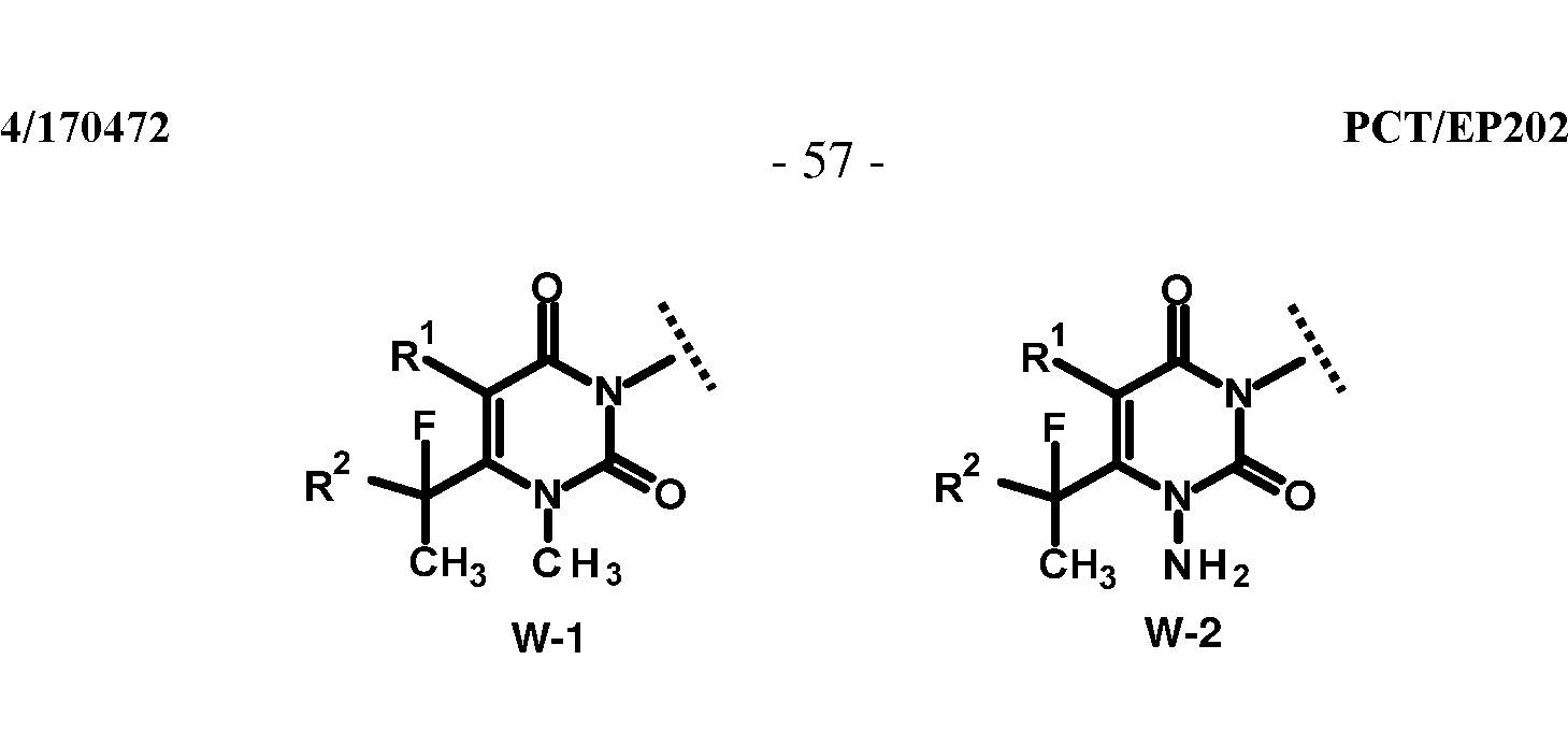 Figure imgf000058_0001