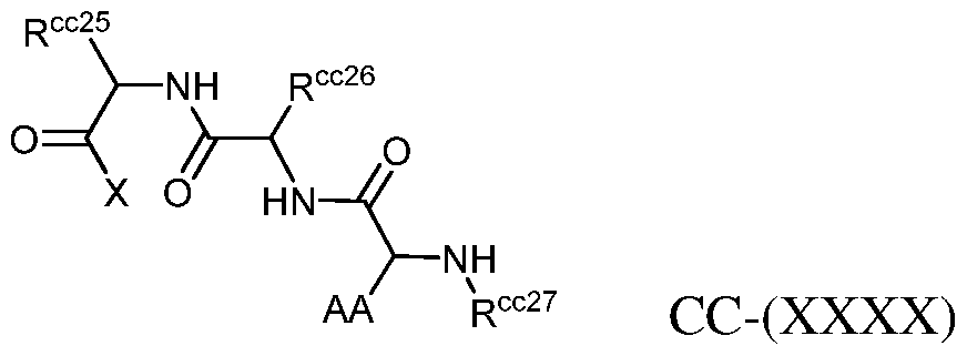 Figure imgf000171_0002
