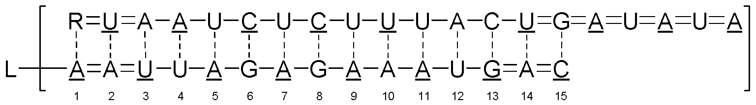 Figure imgf000007_0002
