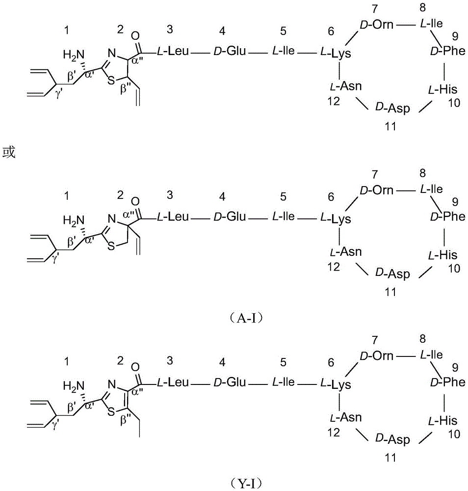 Figure FDA0002317786880000021