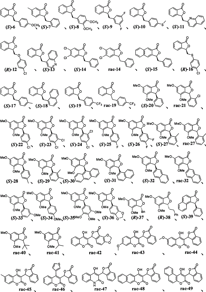 Figure G2008102029672D00031