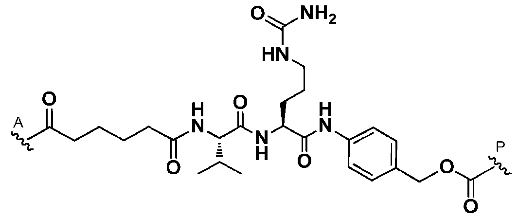 Figure imgf000331_0002