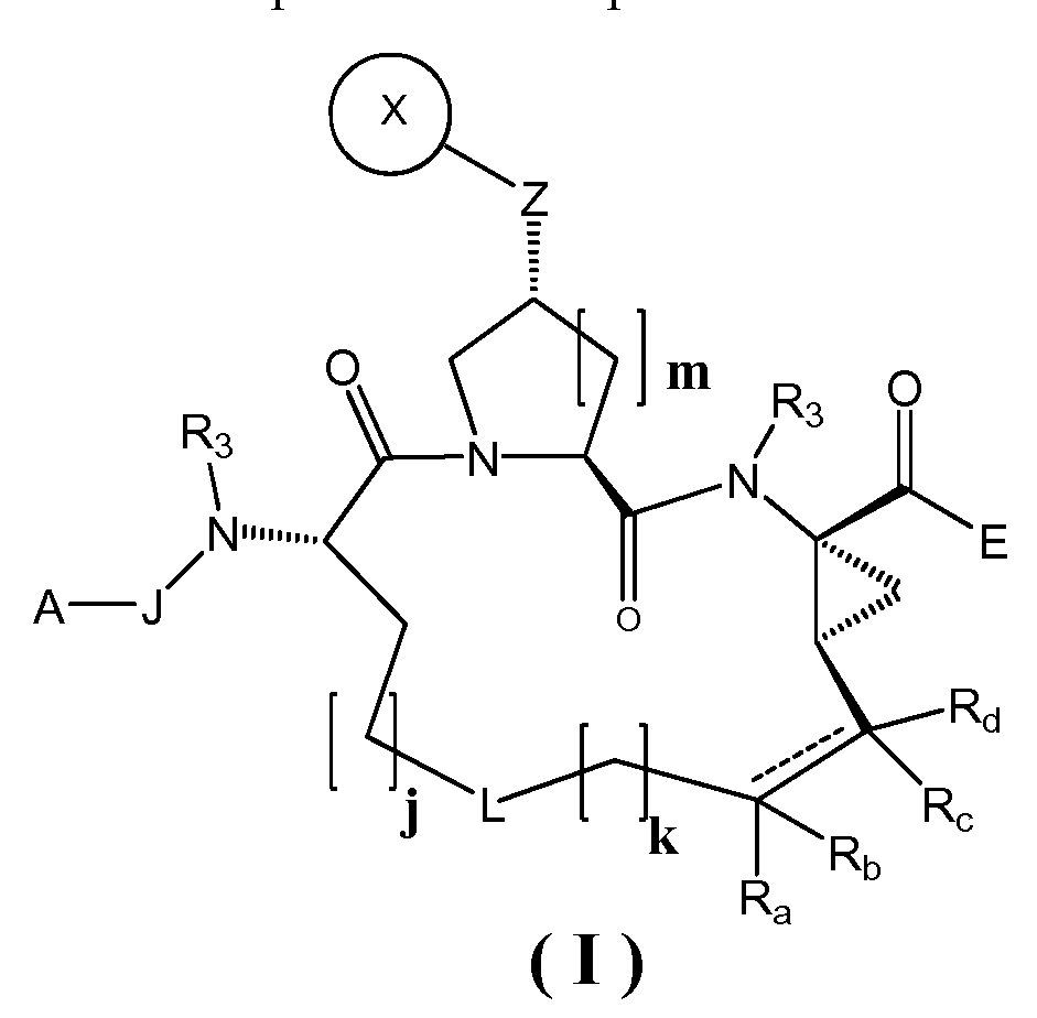 Figure imgf000003_0001