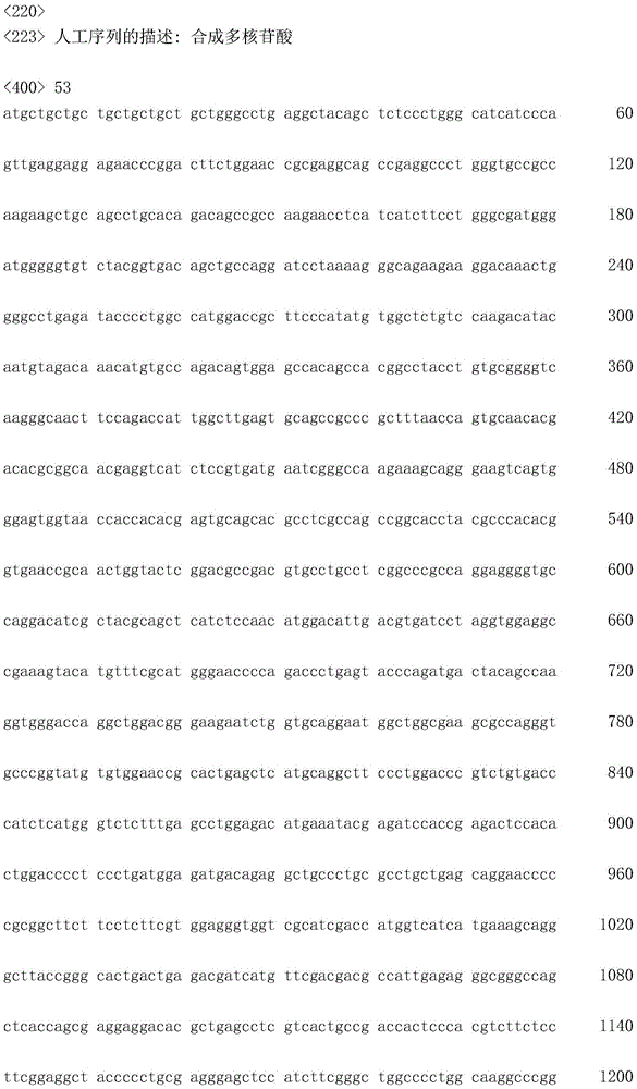 Figure IDA0002872168960002531