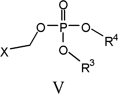 Figure FDA0000140157410000033