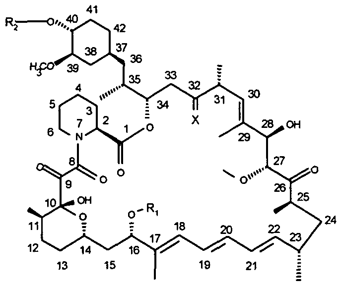 Figure imgf000010_0001