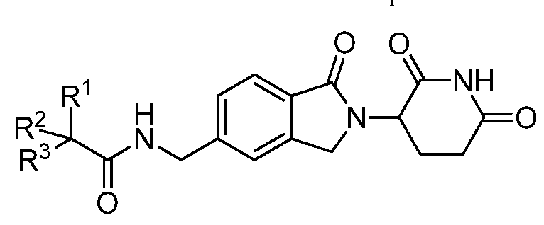 Figure imgf000004_0001