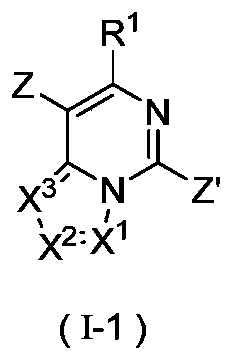 Figure PCTCN2019121844-appb-100024