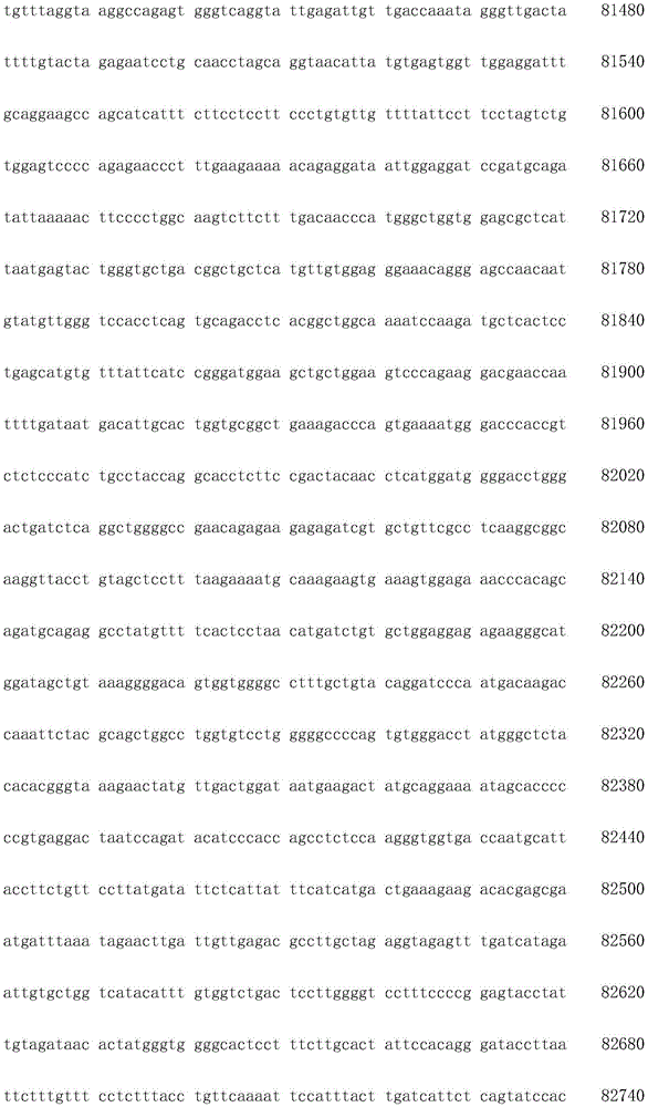 Figure IDA0003936212790001631