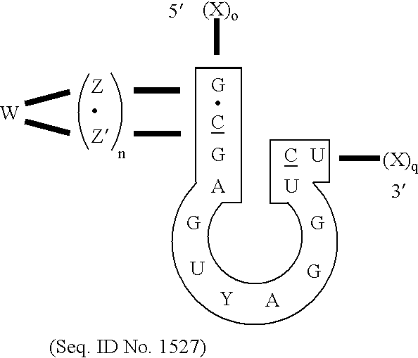 Figure US20030004122A1-20030102-C00042