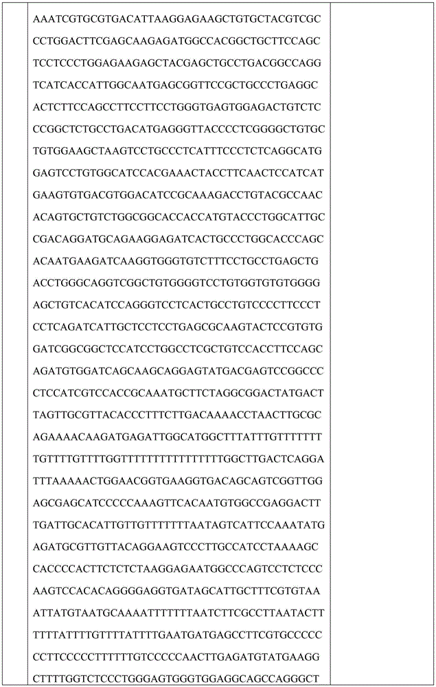 Figure BDA0002699455900001841