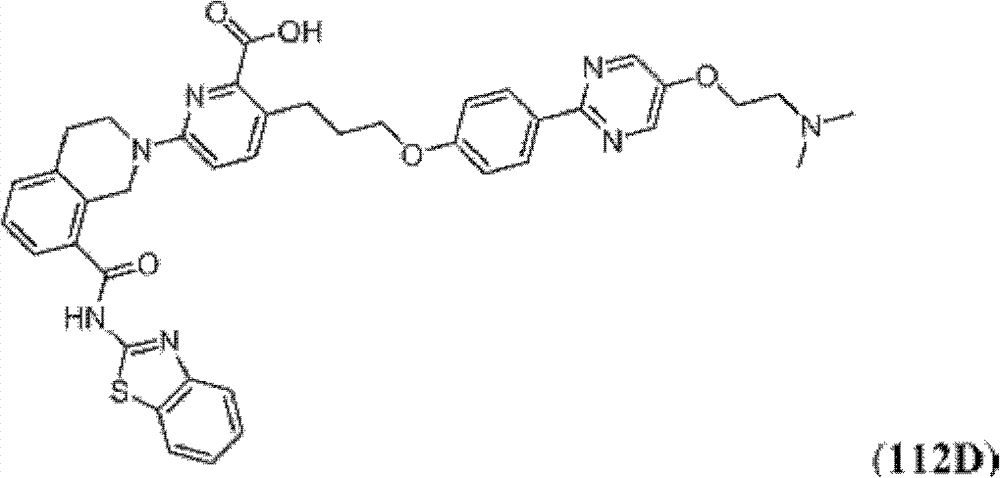Figure BDA0000083236130002931