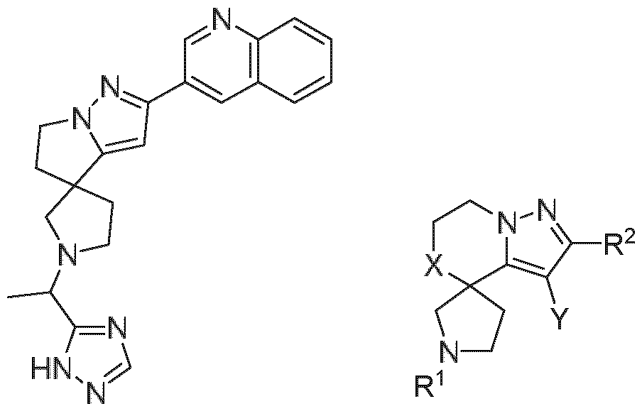 Figure imgf000010_0001