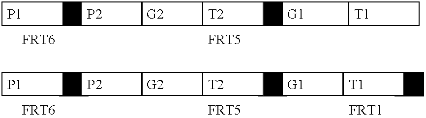 Figure US20080209595A1-20080828-C00001