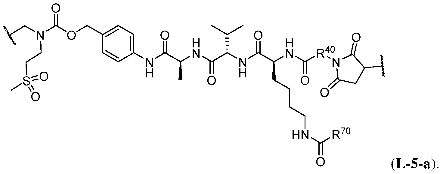 Figure imgf000091_0001