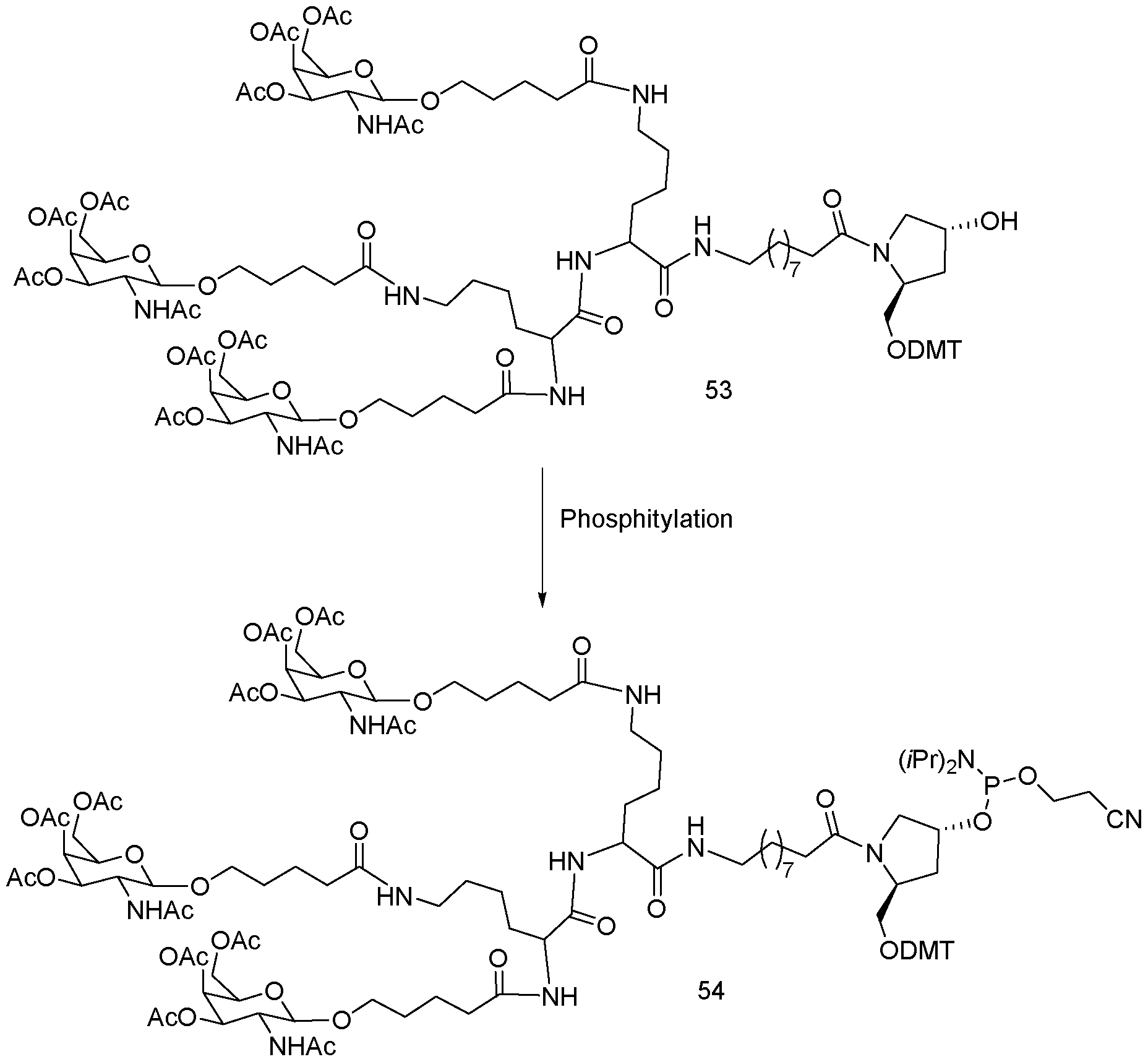 Figure imgf000152_0001