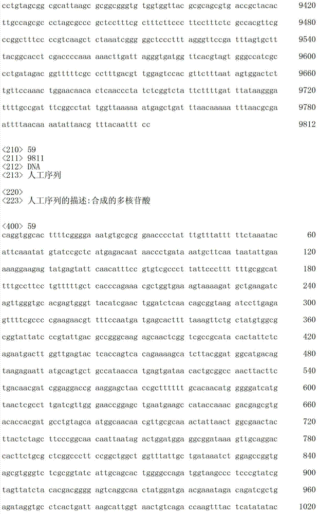 Figure IDA00003076741800631