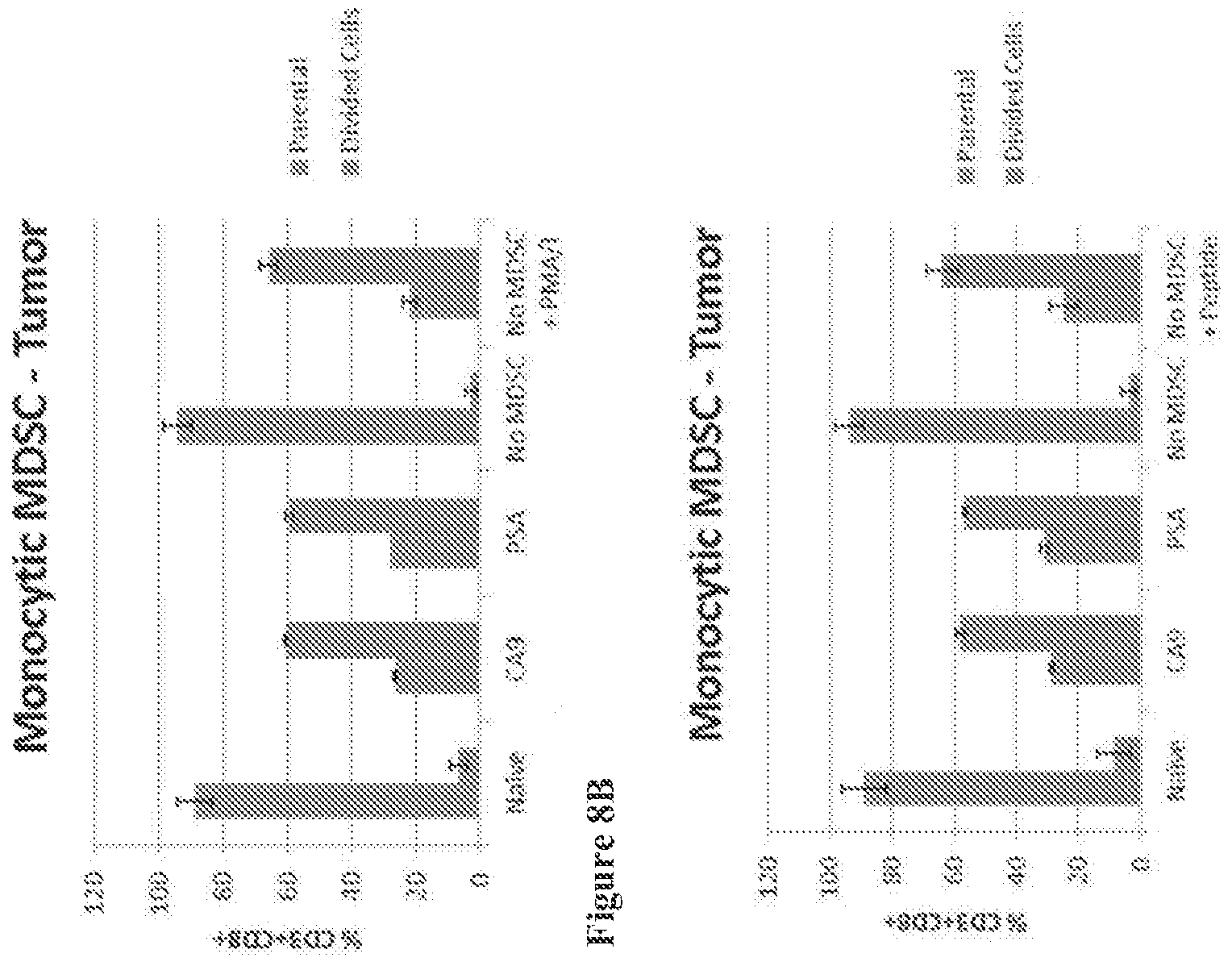 Figure imgf000101_0001
