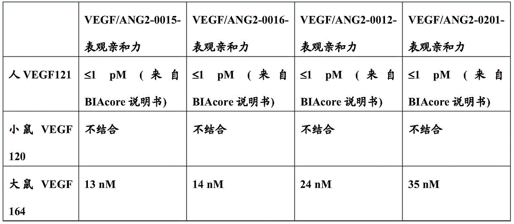 Figure BDA0001049029040001171