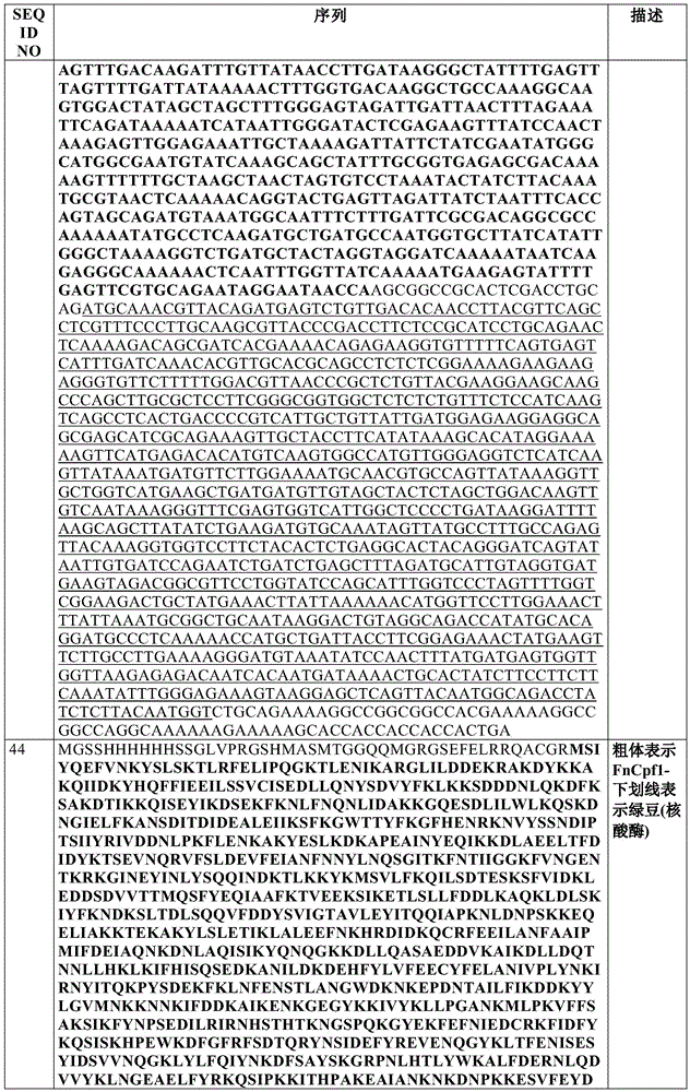 Figure BDA0002550795540001371