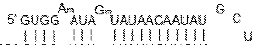 Figure imgf000106_0001