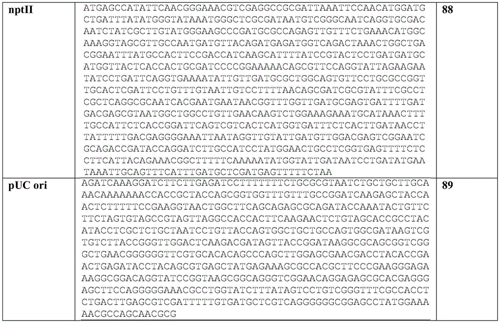 Figure BDA0003755608120001191