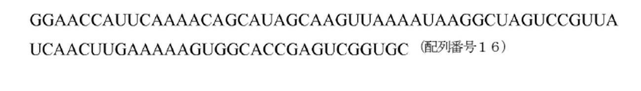 Figure 0007126588000009