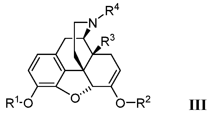 Figure imgf000009_0003