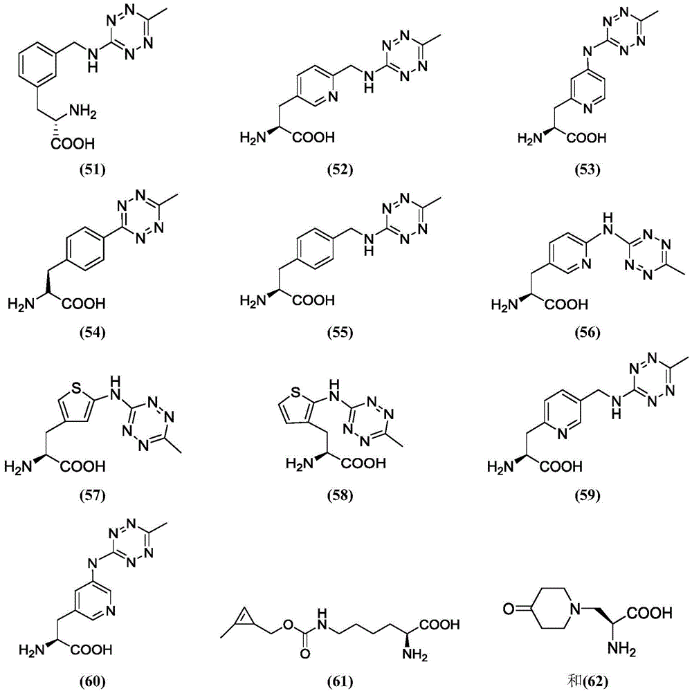 Figure BDA0003508738070000892