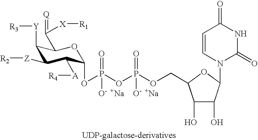 Figure US20070254836A1-20071101-C00048