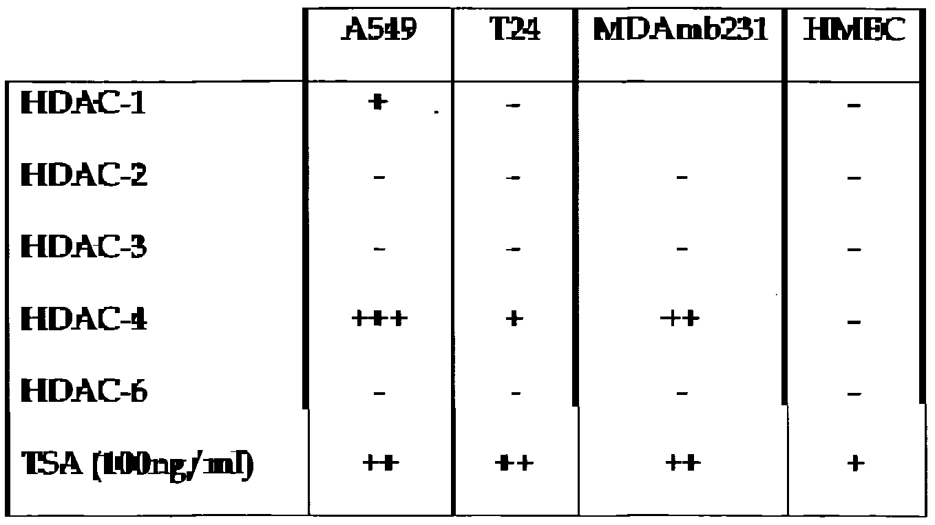 Figure imgf000082_0002