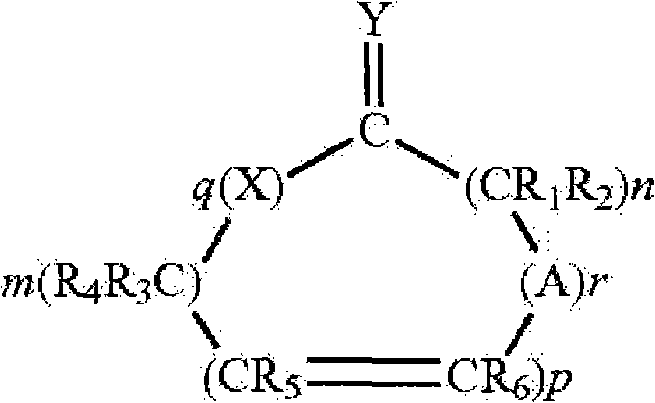 Figure FPA00001269098600051