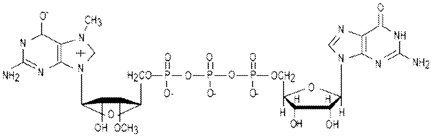 Figure imgf000039_0001