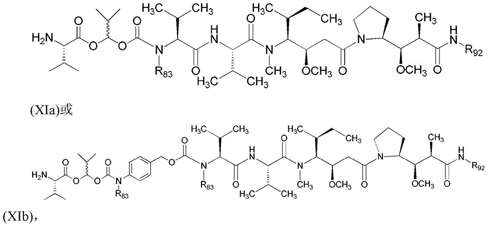 Figure BDA0003135424430001181