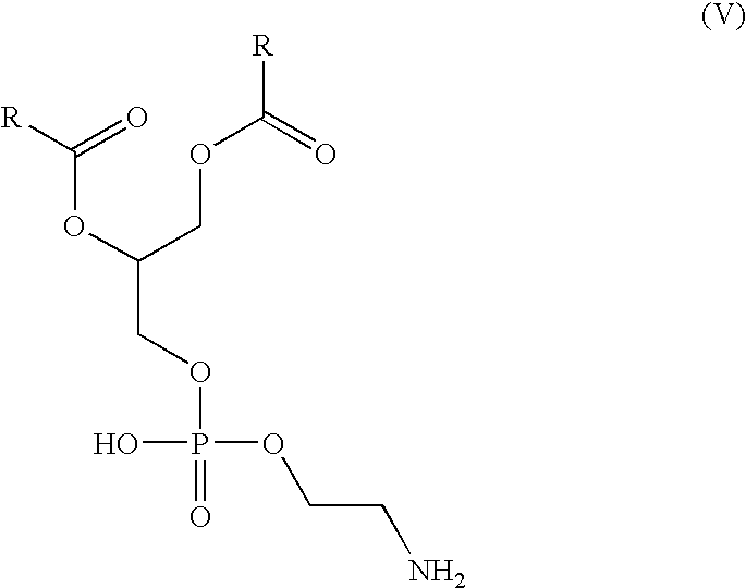 Figure US20090061010A1-20090305-C00029