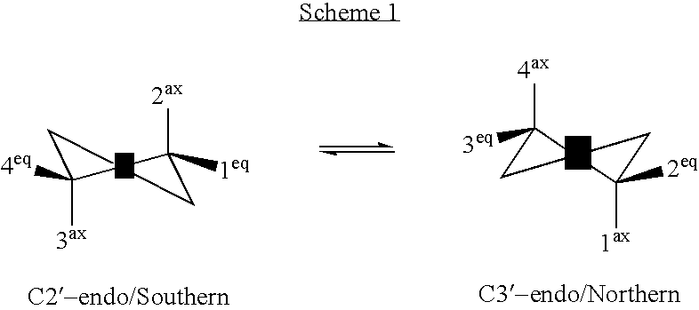 Figure US20050059066A1-20050317-C00014