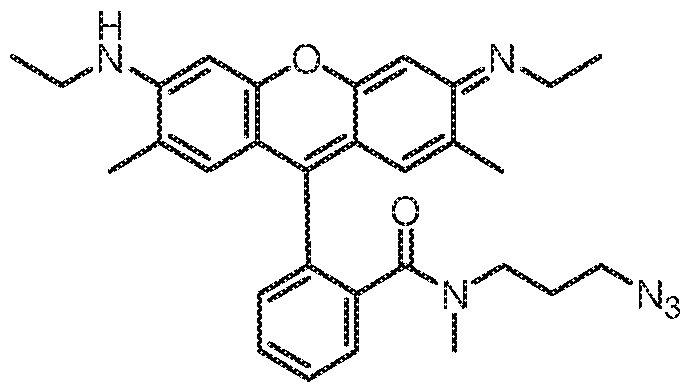 Figure imgf000051_0001