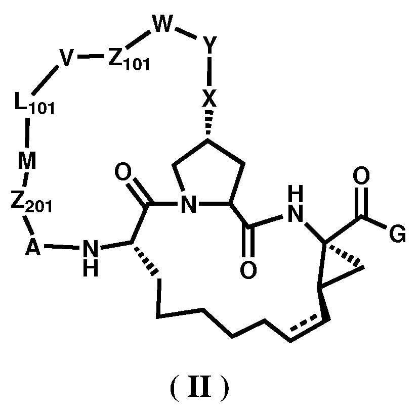 Figure imgf000009_0001