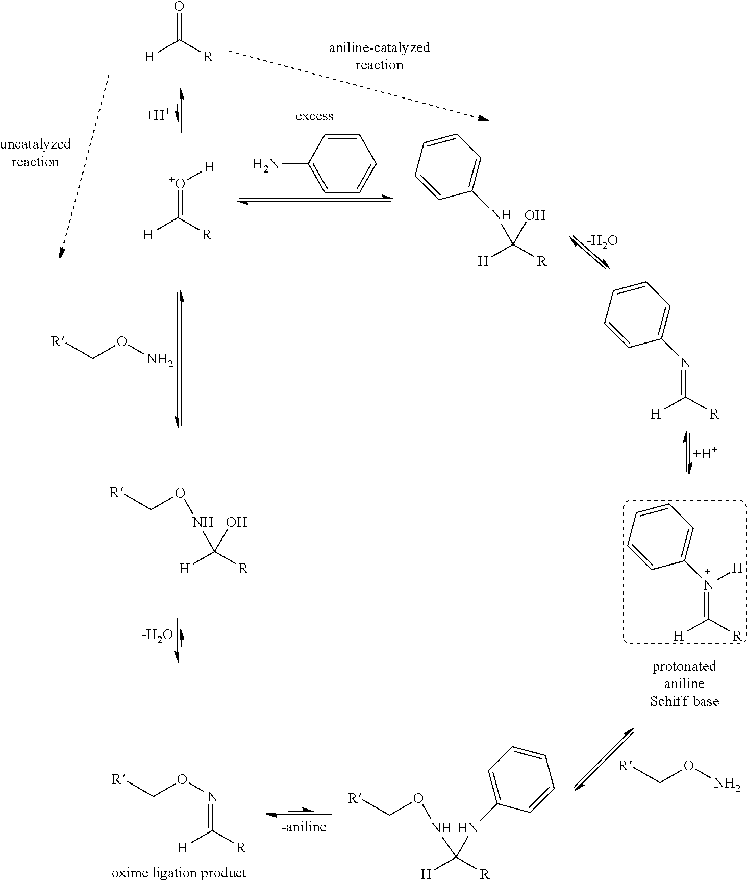 Figure US08809501-20140819-C00015
