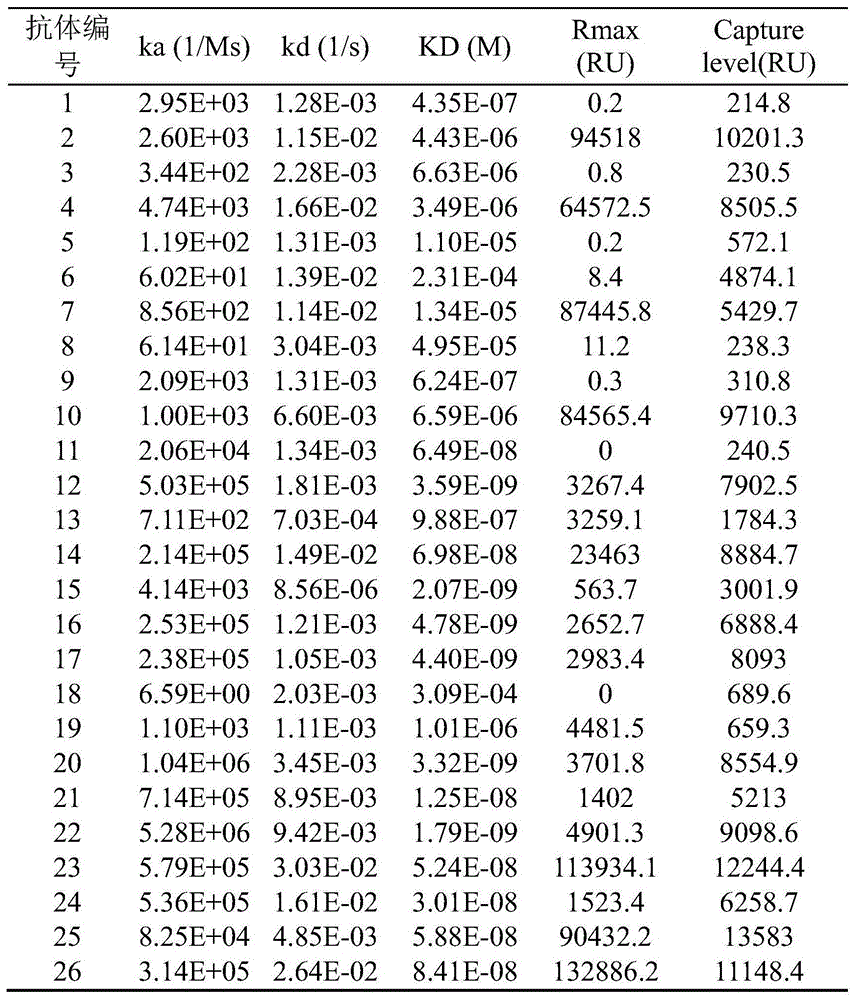 Figure BDA0002080313060000132