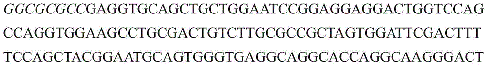 Figure GDA0003152722340000904