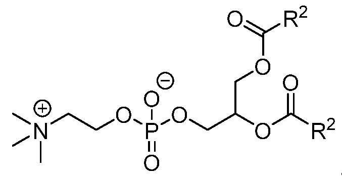 Figure imgf000064_0001