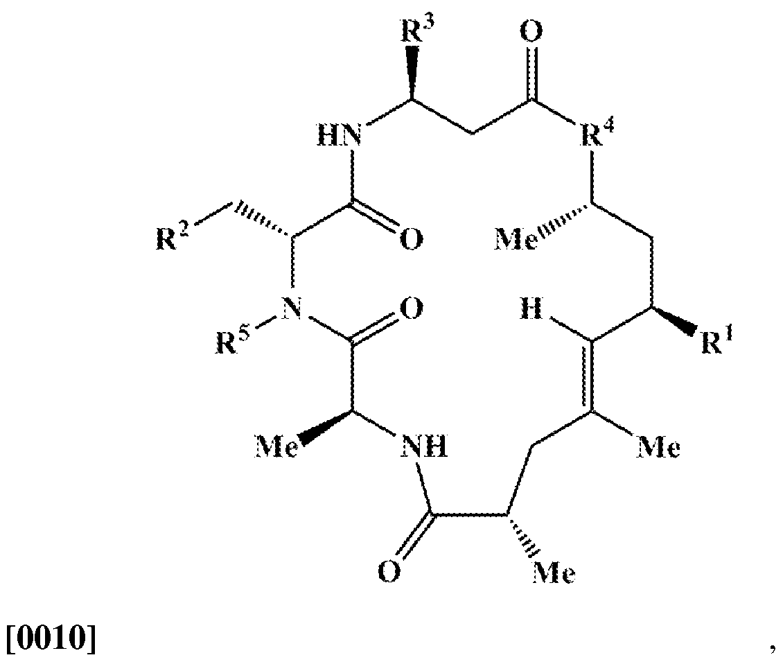 Figure imgf000005_0001