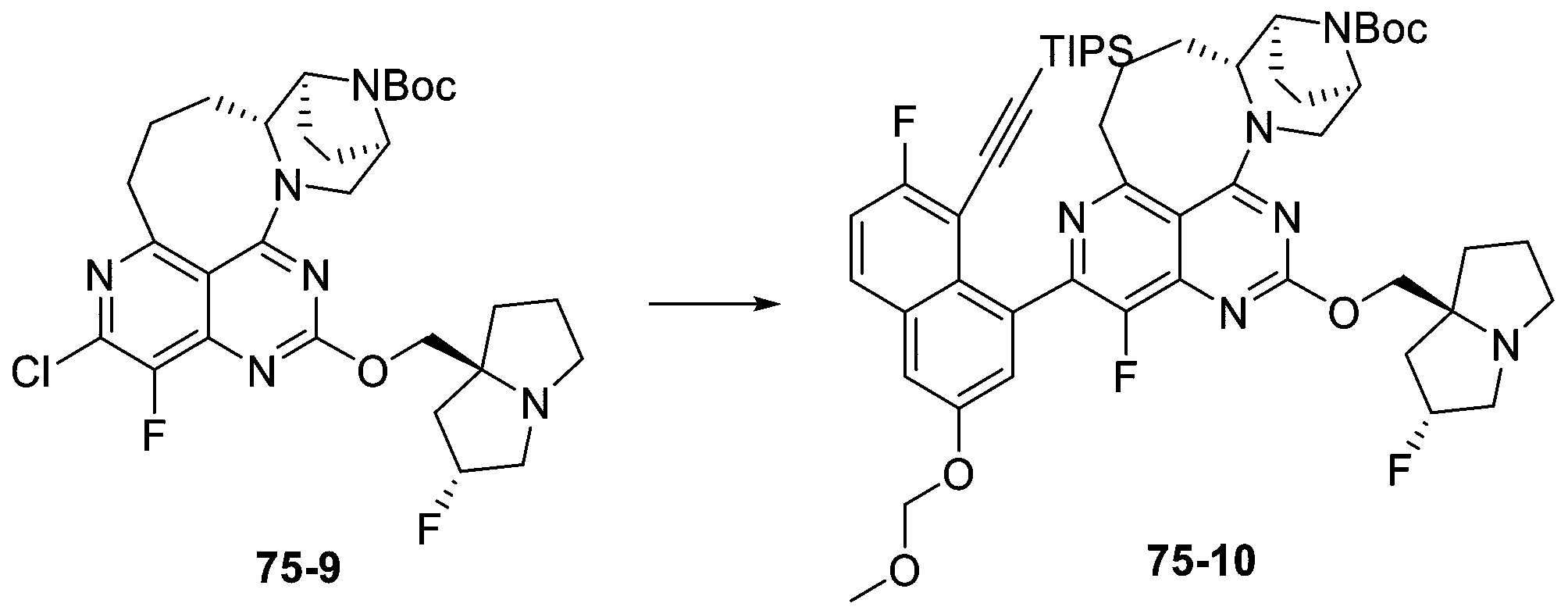 Figure 2025513258000282