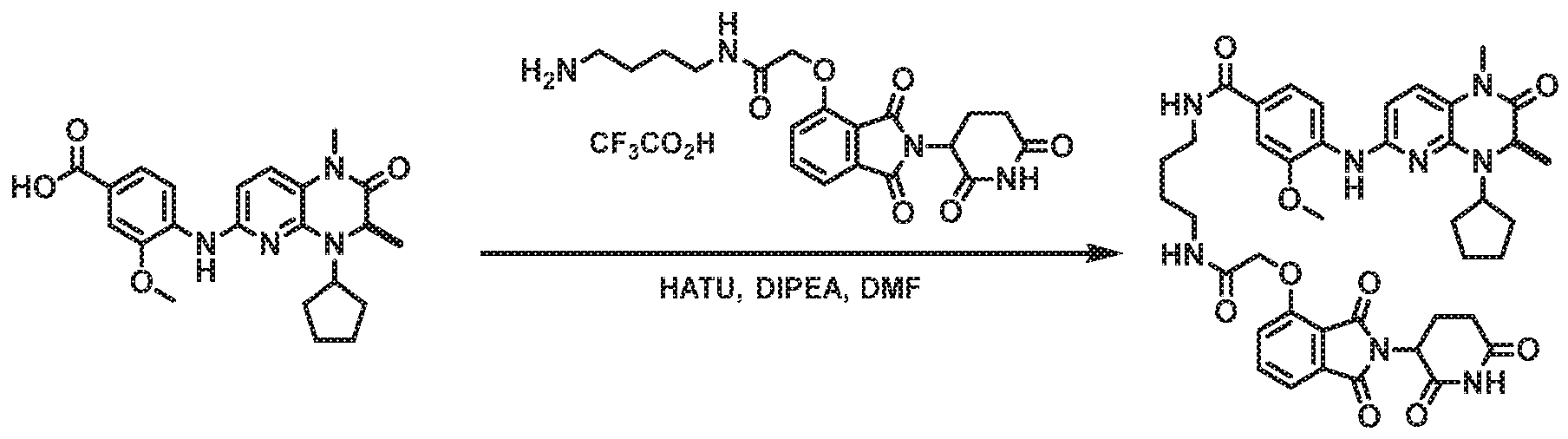 Figure imgf000251_0001