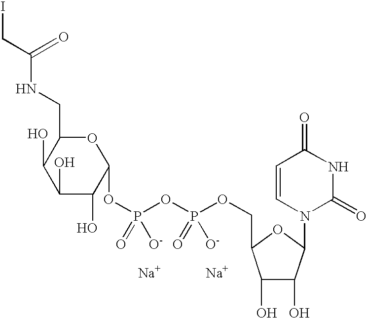 Figure US20080108557A1-20080508-C00022