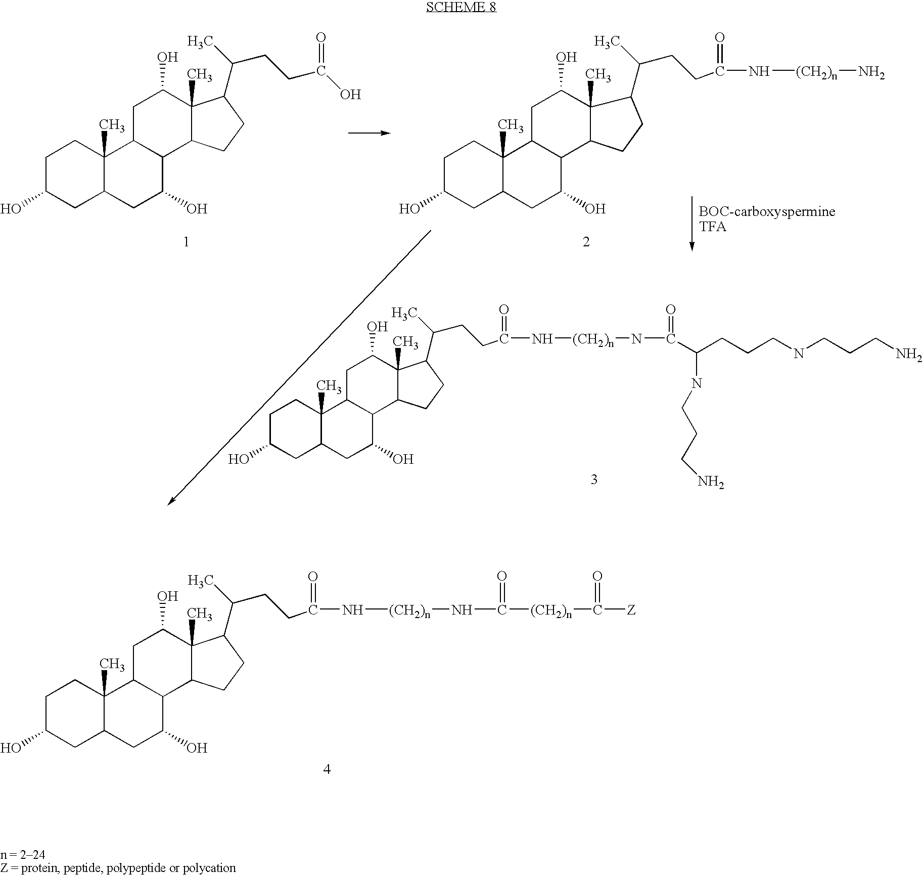 Figure US06989434-20060124-C00028