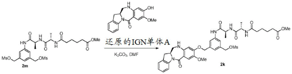 Figure GDA0001612774670001651