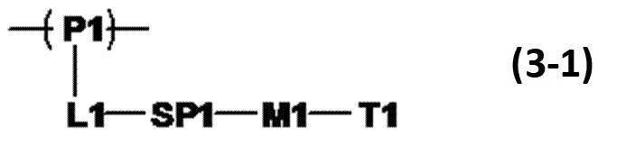 Figure JPOXMLDOC01-appb-C000020