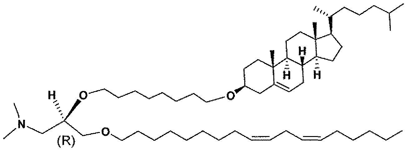 Figure imgf000003_0002